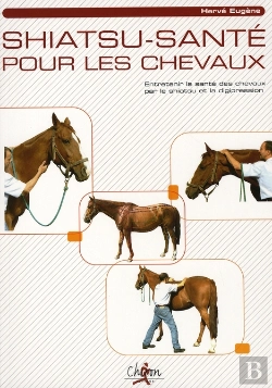 Bertrand.pt - Shiatsu-Santé Pour Les Chevaux