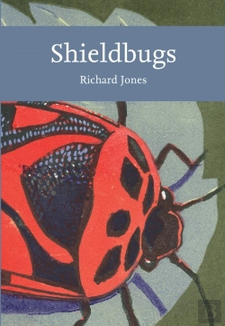Bertrand.pt - Shieldbugs