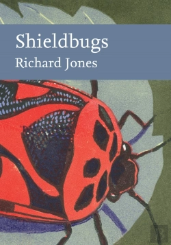 Bertrand.pt - Shieldbugs