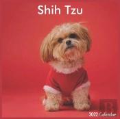 Shih Tzu Calendar 2022