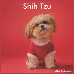 Bertrand.pt - Shih Tzu Calendar 2022
