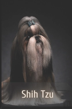 Bertrand.pt - Shih Tzu