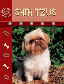 Bertrand.pt - Shih Tzus