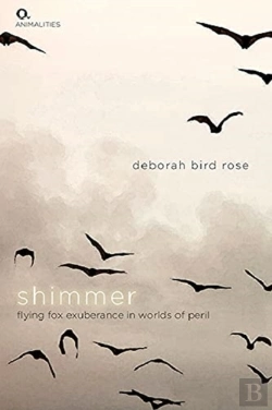 Bertrand.pt - Shimmer