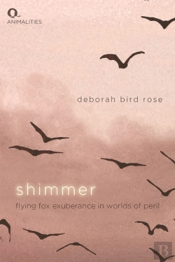 Bertrand.pt - Shimmer