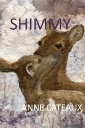 Shimmy