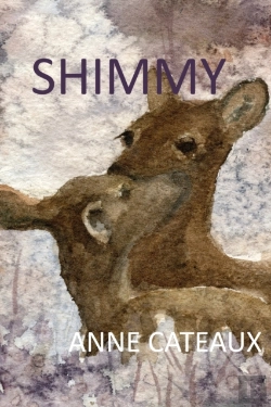 Bertrand.pt - Shimmy