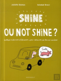 Bertrand.pt - Shiner Or Not Shiner