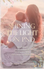 Shining The Light On Pnd: The Journey From Darkness To Healing From Post-Natal Depression