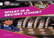 Shinoy And The Chaos Crew: What Is A Secret Code?