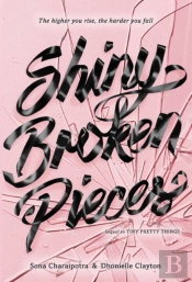Shiny Broken Pieces