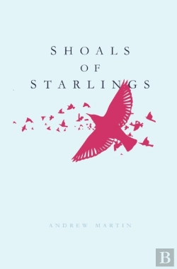 Bertrand.pt - Shoals Of Starlings
