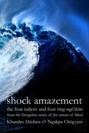Shock Amazement