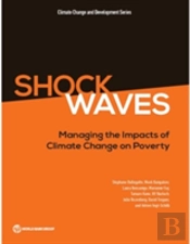 Shock Waves