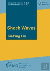 Shock Waves