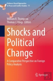 Shocks And Political Change