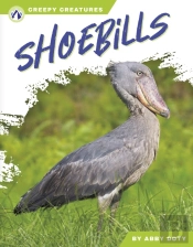 Shoebills