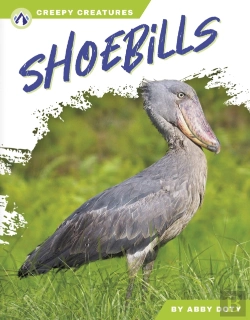 Bertrand.pt - Shoebills