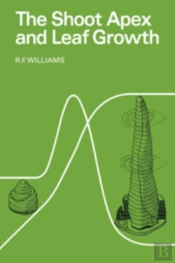 Bertrand.pt - Shoot Apex And Leaf Growth
