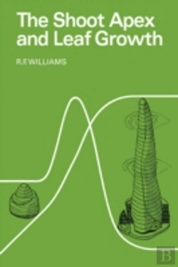Bertrand.pt - Shoot Apex And Leaf Growth