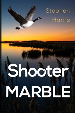 Bertrand.pt - Shooter Marble
