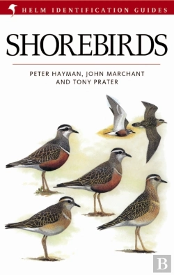 Bertrand.pt - Shorebirds