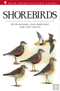 Bertrand.pt - Shorebirds