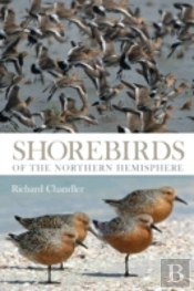 Shorebirds Of The Northern Hemisphere
