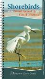 Shorebirds Of The Southeast & Gulf States