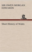 Short History Of Wales