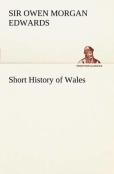Short History Of Wales