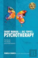 Short Manual On The Big Topics In Psychotherapy