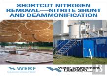 Shortcut Nitrogen Removal-Nitrite Shunt And Deammonification