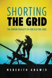 Shorting The Grid