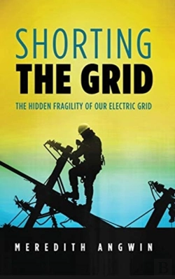 Bertrand.pt - Shorting The Grid