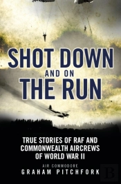 Shot Down And On The Run