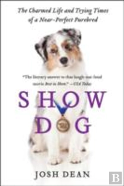 Bertrand.pt - Show Dog