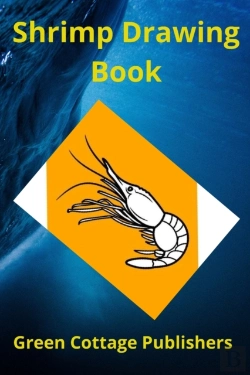 Bertrand.pt - Shrimp Drawing Book