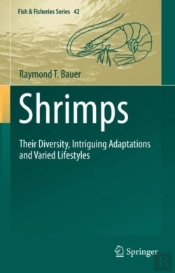 Bertrand.pt - Shrimps