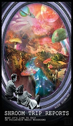Bertrand.pt - Shroom Trip Reports - What It'S Like To Trip On Psilocybin Magic Mushrooms