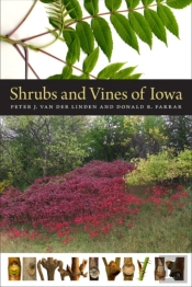 Shrubs And Vines Of Iowa