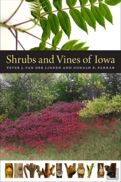 Bertrand.pt - Shrubs And Vines Of Iowa