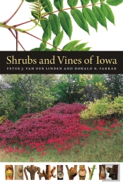 Shrubs And Vines Of Iowa
