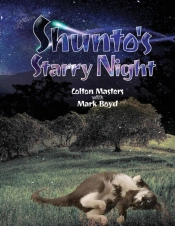 Shunto'S Starry Night