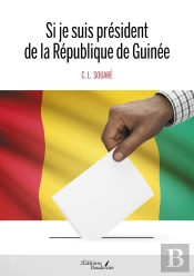 Si Je Suis Président De La République De Guinée