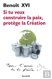 Si Tu Veux Construire La Paix, Protège La Création