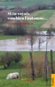 Si Tu Voyais Combien L'Automne...