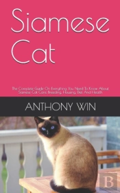 Siamese Cat