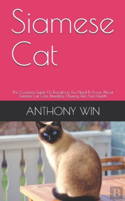 Bertrand.pt - Siamese Cat