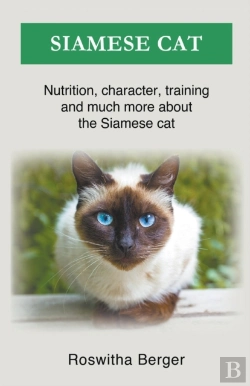 Bertrand.pt - Siamese Cat